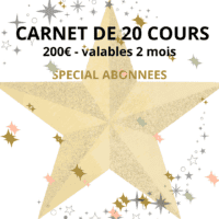 CARNET DE 20 COURS (valable 2 mois)  [UNIQUEMENT POUR LES ABONNÉES ! ]